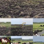 Investment Opportunity: 491 Acres of Prime Agricultural Land in Myanzi – Mityana | UGX 8M per Acre | Novera Real Estate Uganda