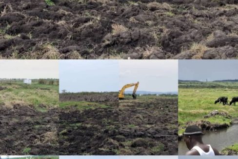 Investment Opportunity: 491 Acres of Prime Agricultural Land in Myanzi – Mityana | UGX 8M per Acre | Novera Real Estate Uganda