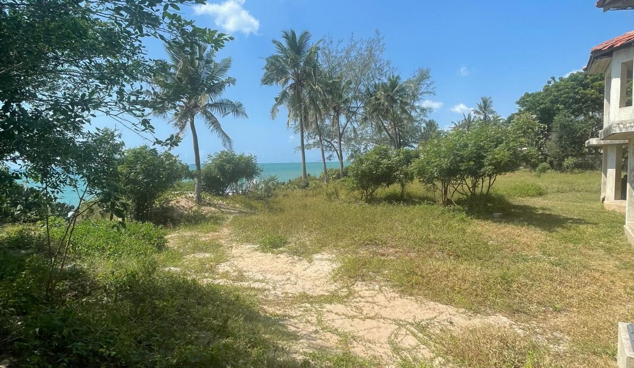 Oceanfront Property for Sale (7)