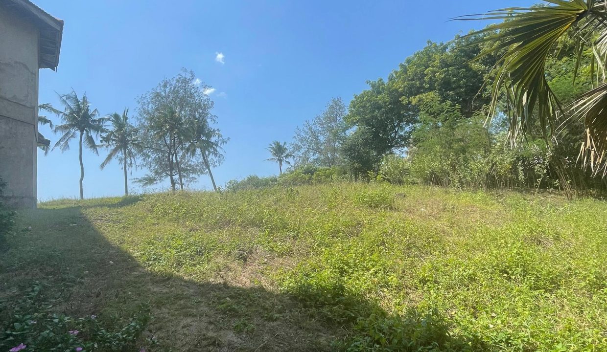 Oceanfront Property for Sale (8)
