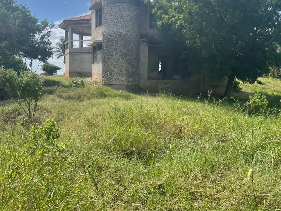 Oceanfront Property for Sale (9)