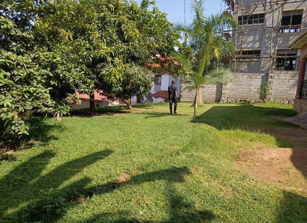 Makindye Boston (6)