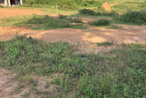 Hot Deal! Beautiful Plot for Sale – Kitovu