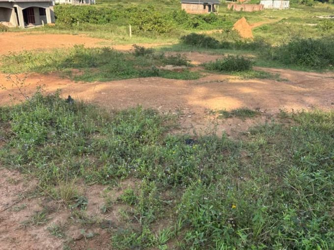 Hot Deal! Beautiful Plot for Sale – Kitovu