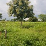 OBL Communal Land Development – 22 sq. miles for Sale in Kapelebyong