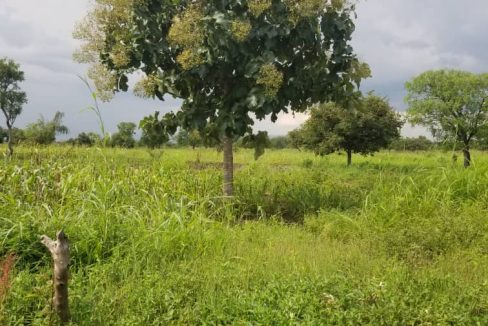 OBL Communal Land Development – 22 sq. miles for Sale in Kapelebyong