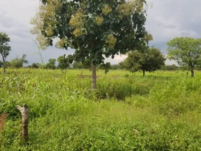 OBL Communal Land Development – 22 sq. miles for Sale in Kapelebyong