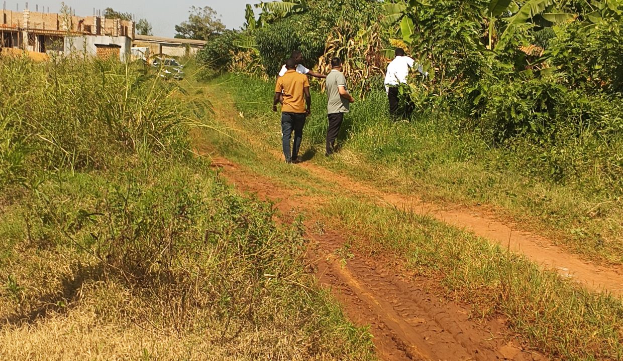 Prime 12-Decimal Land for Sale in Kira Kiwologoma | UGX 110M