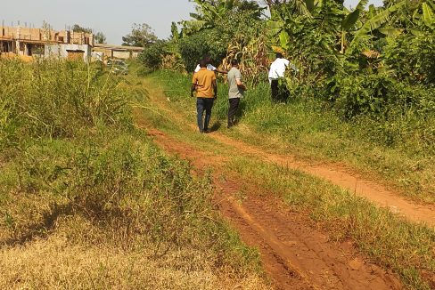 Prime 12-Decimal Land for Sale in Kira Kiwologoma | UGX 110M