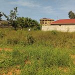 13 Decimals Land for Sale in Kira Kiwologoma | UGX 90M