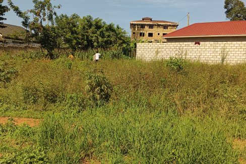 13 Decimals Land for Sale in Kira Kiwologoma | UGX 90M