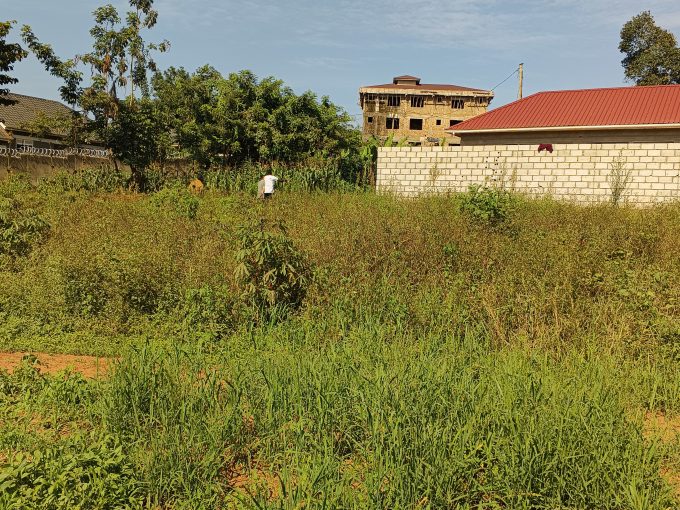 13 Decimals Land for Sale in Kira Kiwologoma | UGX 90M