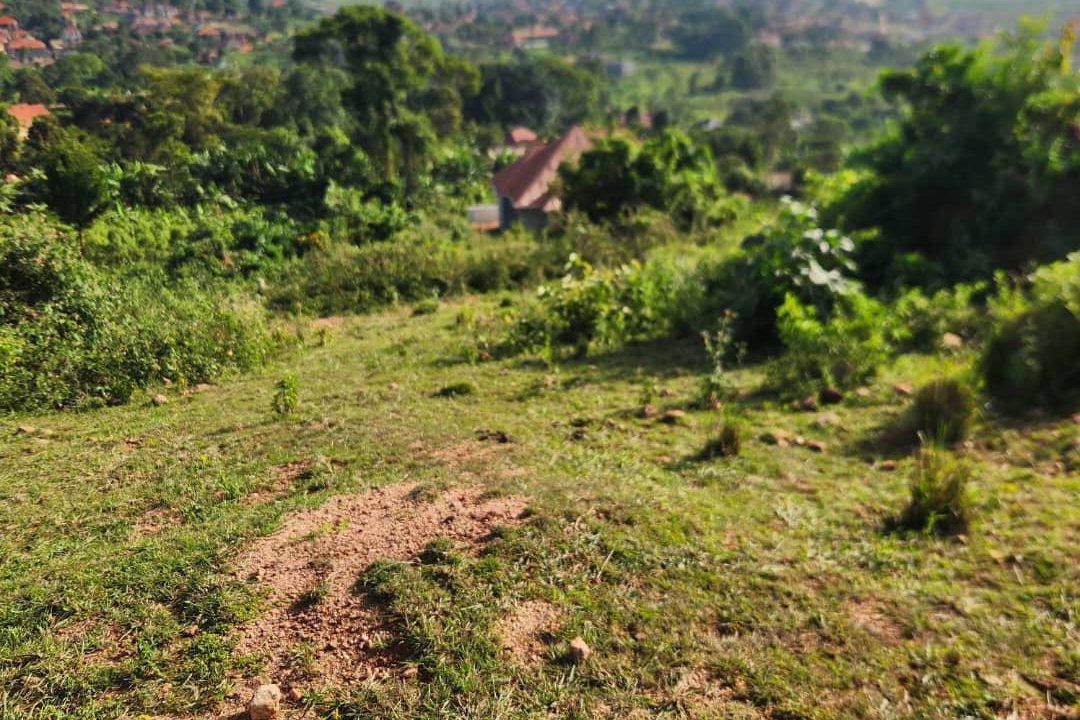 How Much Does It Cost to Lease an Acre of Land in Uganda? (2026 Guide)