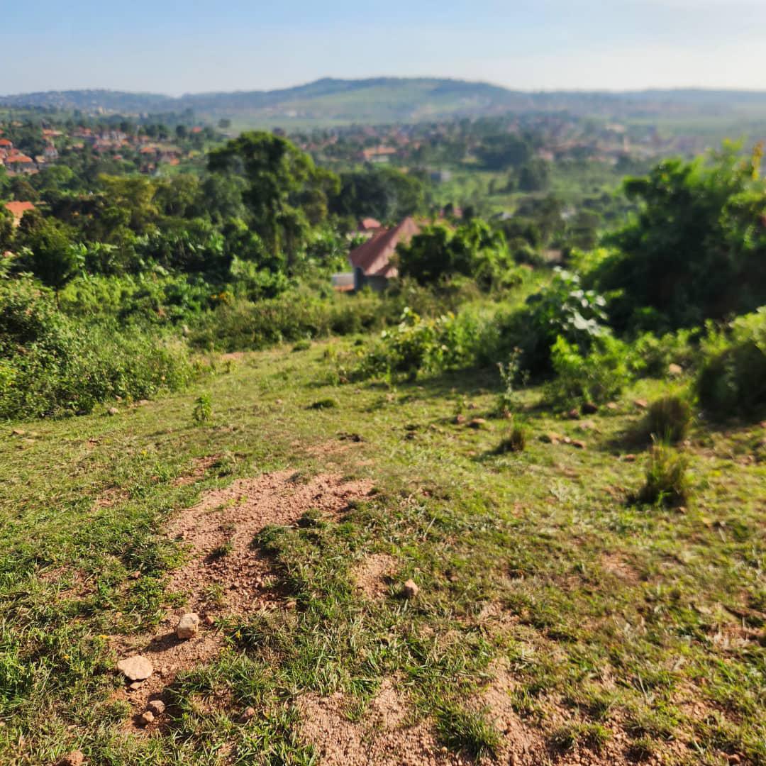 How Much Does It Cost to Lease an Acre of Land in Uganda? (2026 Guide)