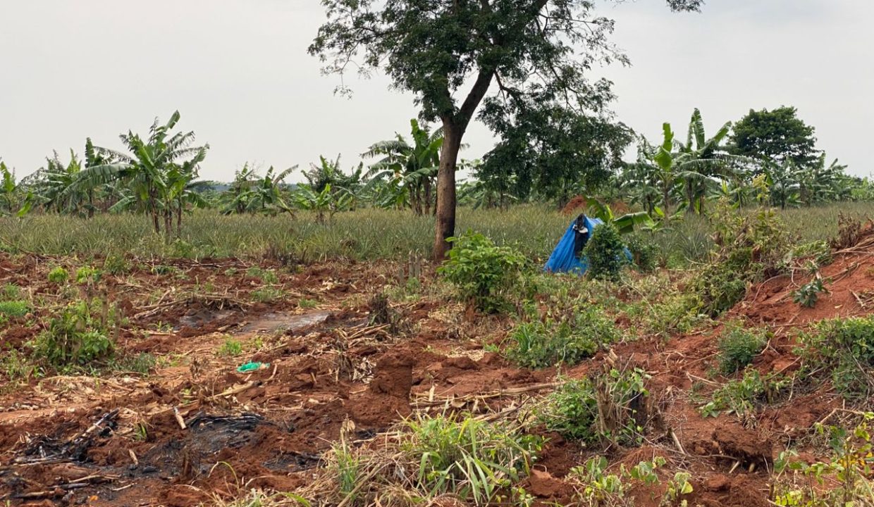 Prime 100 Acres for Sale in Kamira Luwero | UGX 10M per Acre