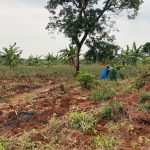 Prime 100 Acres for Sale in Kamira Luwero | UGX 10M per Acre