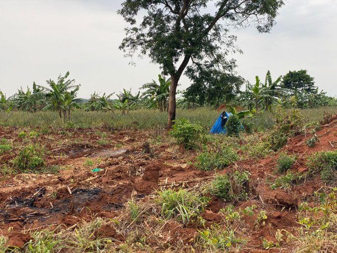 Prime 100 Acres for Sale in Kamira Luwero | UGX 10M per Acre