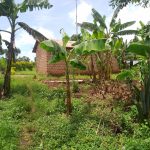 3 Acres of Land for Sale in Matugga Kalasa | Ideal for Country Home or School Project
