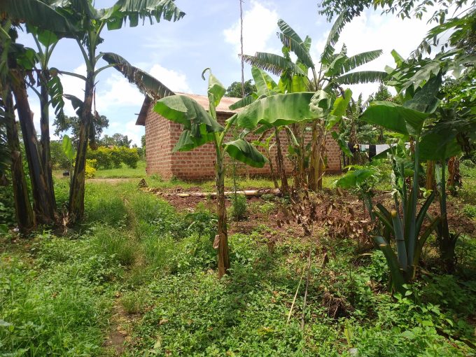 3 Acres of Land for Sale in Matugga Kalasa | Ideal for Country Home or School Project