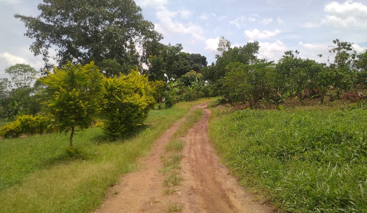 IMG-20260416-WA0744