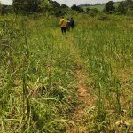 15 Acres for Sale in Buikwe | Titled Land Near Mukono–Jinja Road