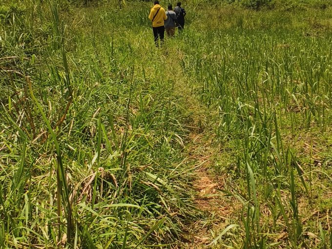 15 Acres for Sale in Buikwe | Titled Land Near Mukono–Jinja Road