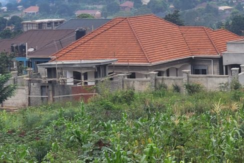 50 Decimals (Half Acre) for Sale in Kitende Lumuli | Private Mailo Title