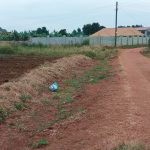 Quick Sale! 28 Decimals of Prime Land for Sale in Bwerenga Kawuku | Entebbe Road