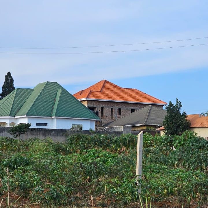 IMG-20260911-WA0043